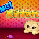 Omg Kittens